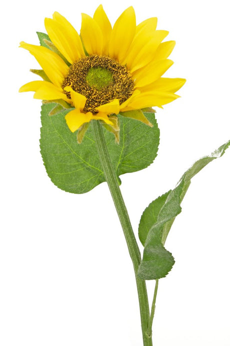 Livraison plante Tournesol Artificiel Deluxe