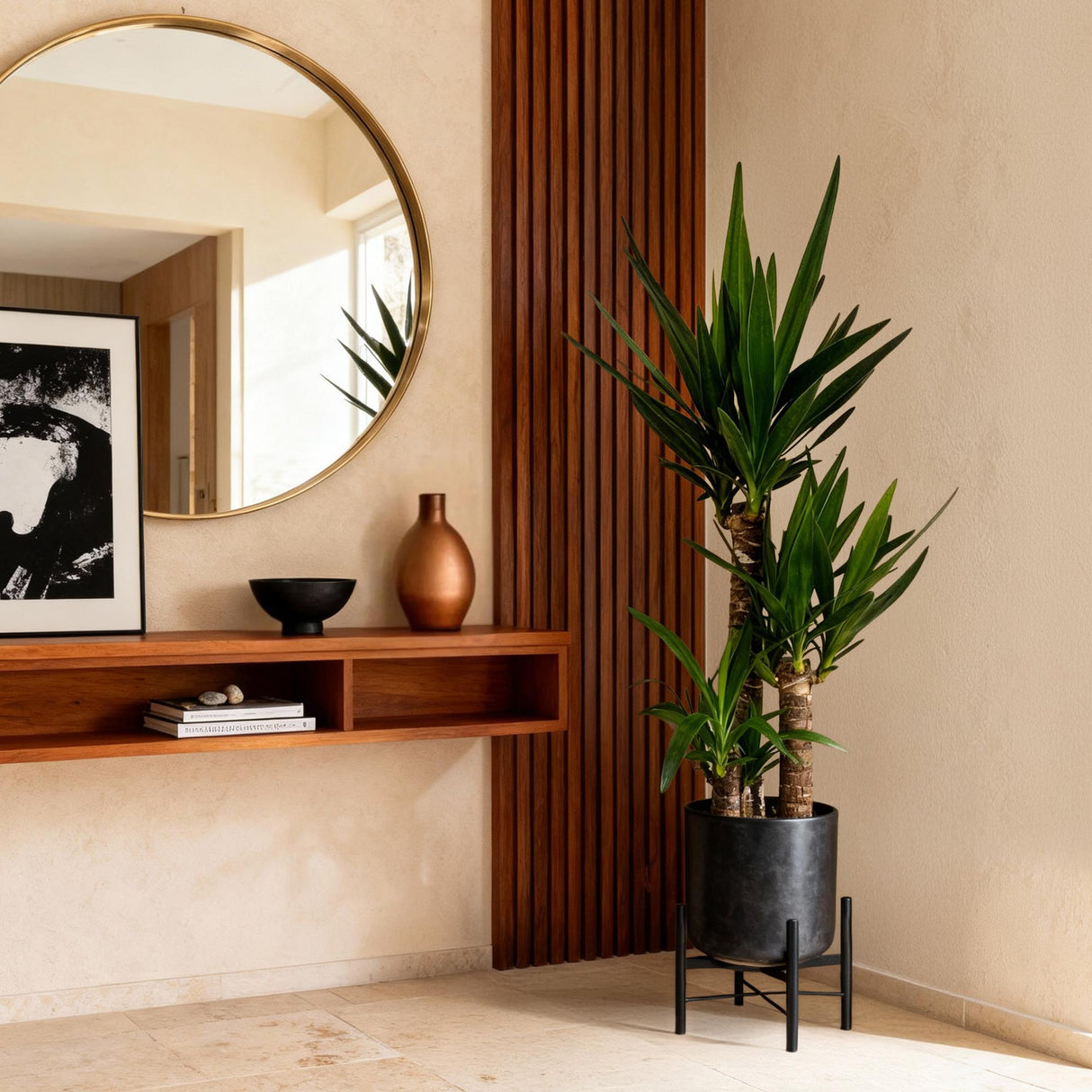 Livraison plante Yucca elephantipes – Lot de 2 – Pot 21 cm – Hauteur 100 cm