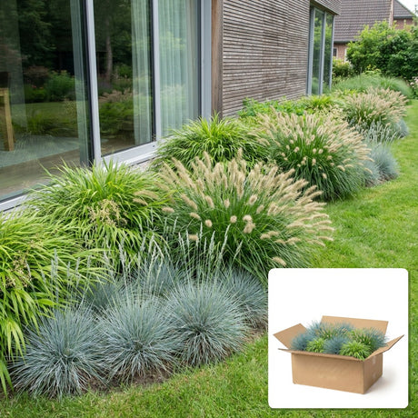 Pack jardin - composition prête à planter