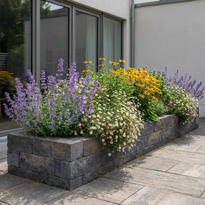 Pack Façade Plein Soleil Blanc & Jaune & Violet - 18 plantes — photo 5