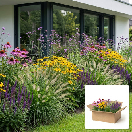 Pack jardin - composition prête à planter