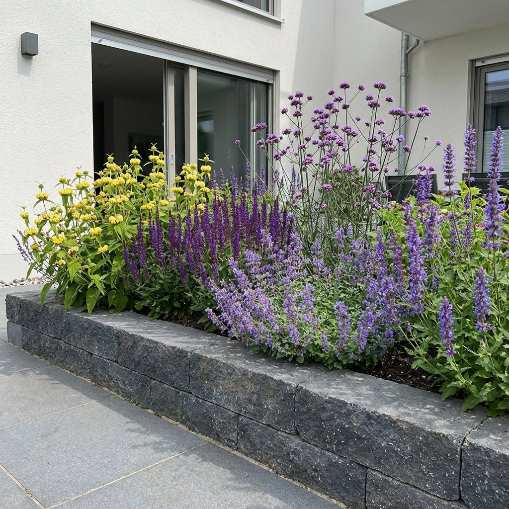 Pack Massif Plein Soleil Violet & Bleu - 30 plantes — photo 5