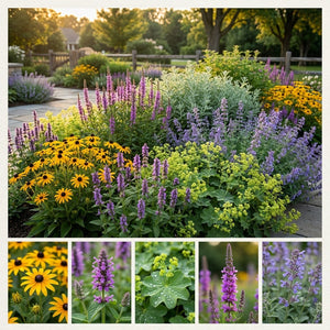 Pack Massif Soleil & Mi-Ombre Jaune & Violet - 30 plantes — photo 3