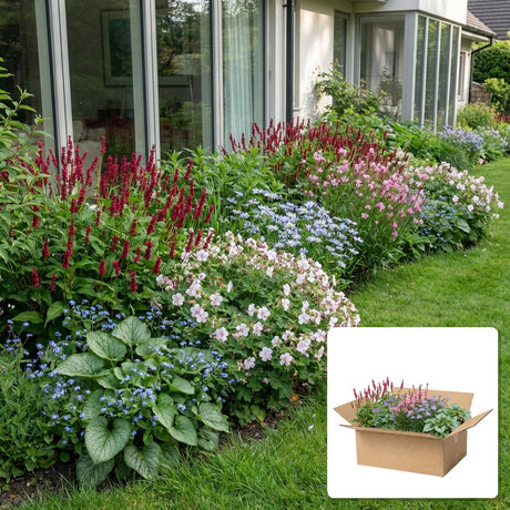 Pack jardin - composition prête à planter