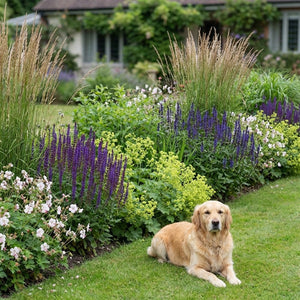 Pack Massif Soleil & Mi-Ombre Rose & Blanc (Géranium Vivace) - 30 plantes — photo 4