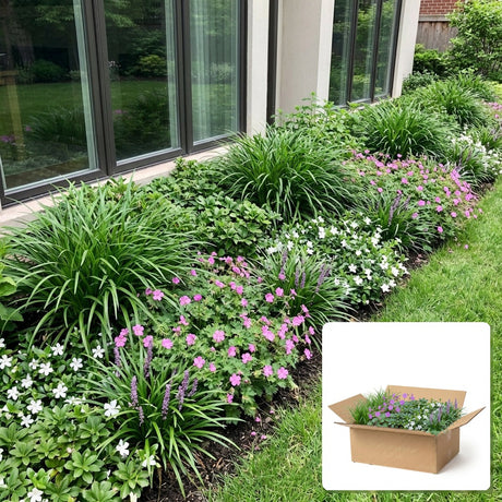 Pack jardin - composition prête à planter