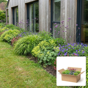 Pack jardin - composition prête à planter