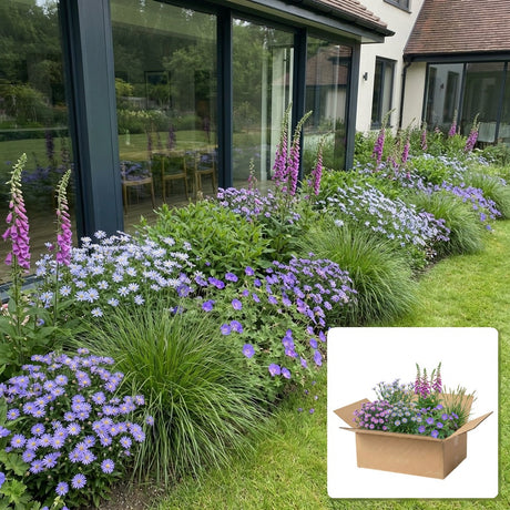 Pack jardin - composition prête à planter