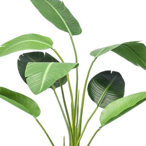Künstliche Strelitzia im Topf H120cm