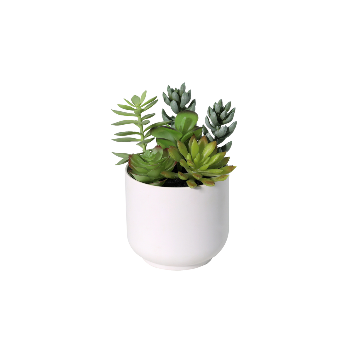 Künstliche Sukkulente mit weißem Topf – 19cm