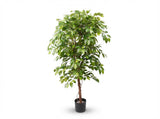 Künstlicher Ficus, Premium-Qualität, H 140 cm