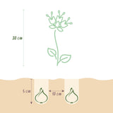 Green boutiQ - Blumenzwiebeln - Fritillaria Meleagris Mix - Farbe Lila und Weiß - 30 Stück - Zwiebelgröße 6/7 - XXL Pack