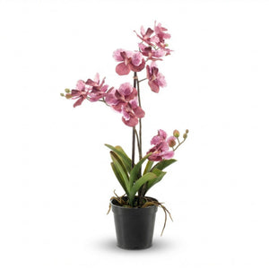 Künstliche Vanda-Orchidee, H60cm