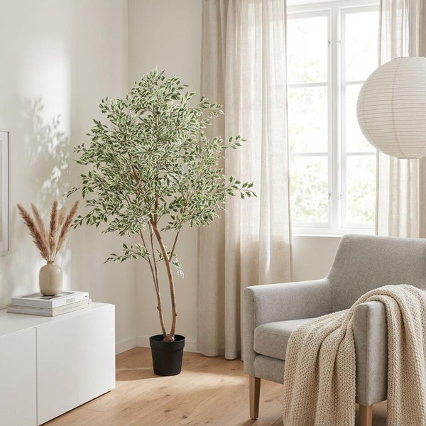 Künstlicher Ficus Benjamina variegata H185cm