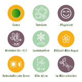 Green boutiQ - Staudenbeet-Paket - Teekräuter - 8 Stauden - 1 m2 - Verschiedene Farben - Wenig Pflege - Topf 11cm