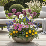 Green boutiQ - Blumenzwiebeln - Bulb Garden Mix - Verschiedene Arten und Farben - 125 Stück - Geschenkverpackung