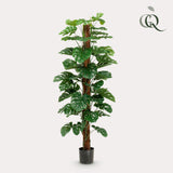 Künstliche Monstera deliciosa H180cm