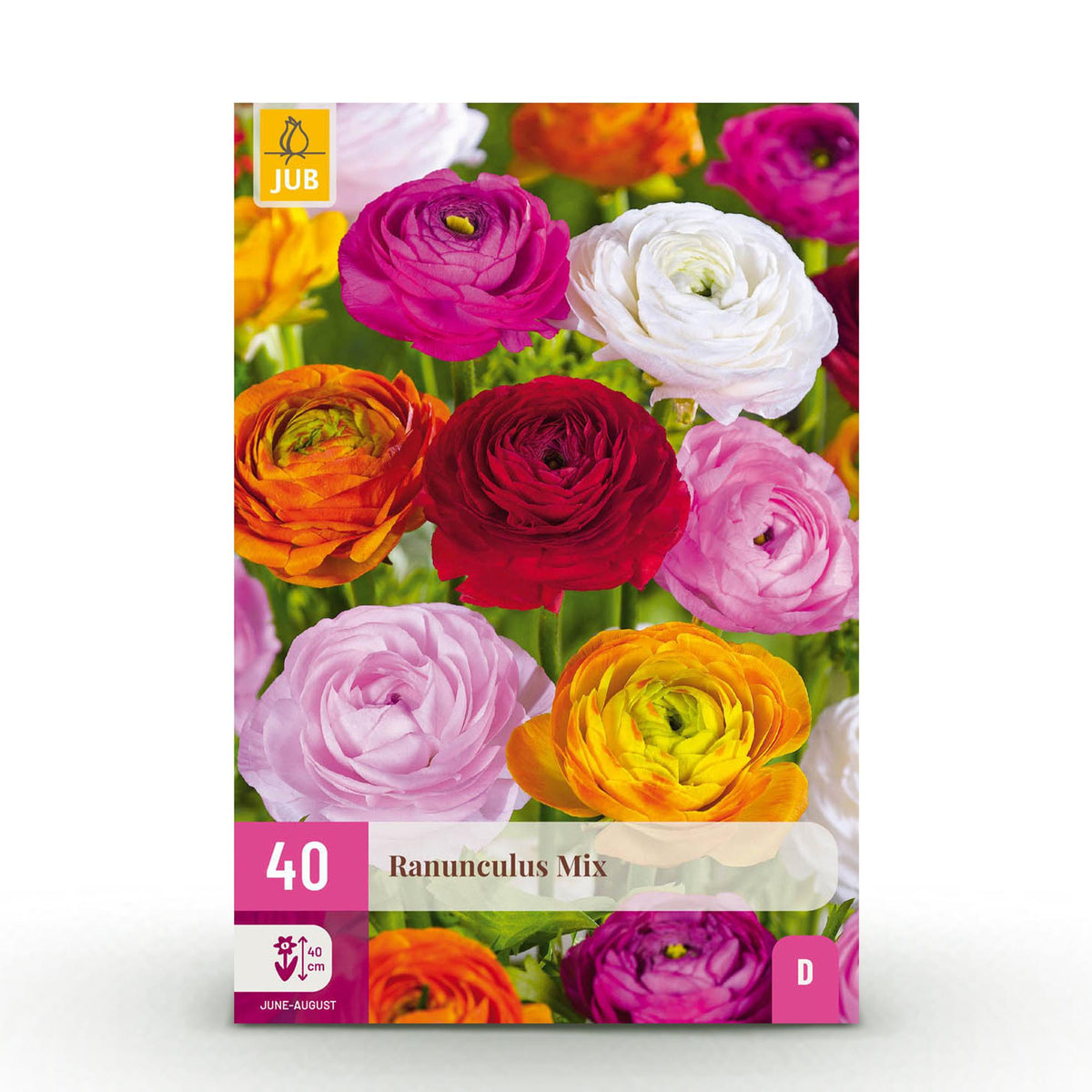 Green boutiQ - Blumenzwiebeln - Ranunculus Mix - Verschiedene Farben - 40 Stück - Zwiebelgröße 5/6 - XXL Pack