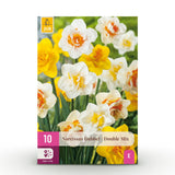 Green boutiQ - Blumenzwiebeln - Narzissen Double Mix - Farbe Gelb und Weiß - 10 Stück - Zwiebelgröße 12/14 - XXL Pack