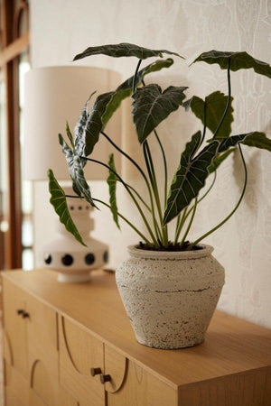 Künstliche Alocasia H80cm