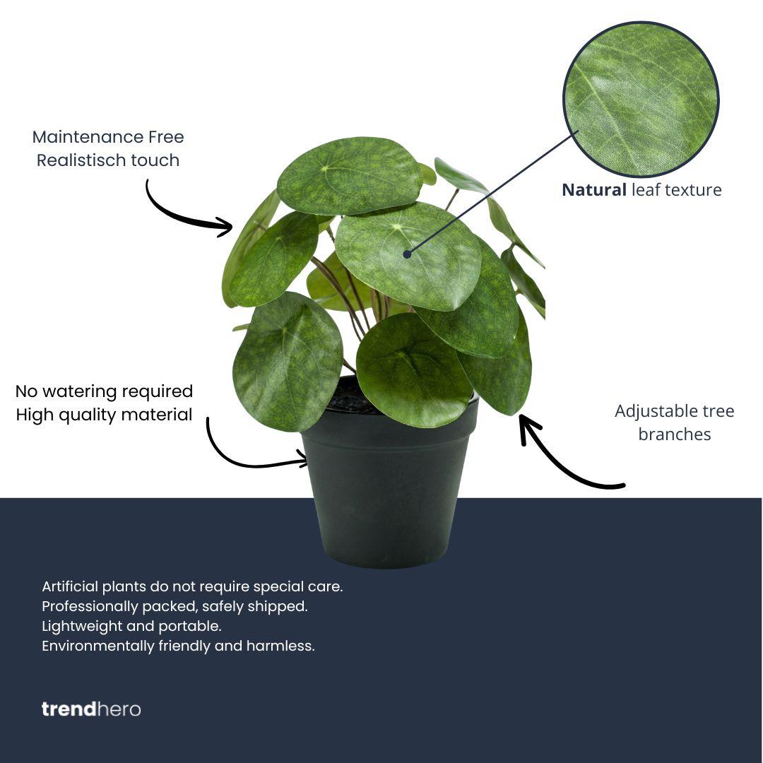 Künstliche Pilea H25cm inkl. Topf