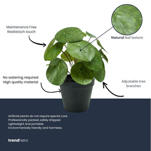 Künstliche Pilea H25cm inkl. Topf