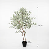 Künstlicher Ficus Benjamina variegata H185cm