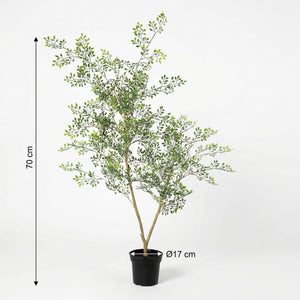Künstlicher Bucida H71cm