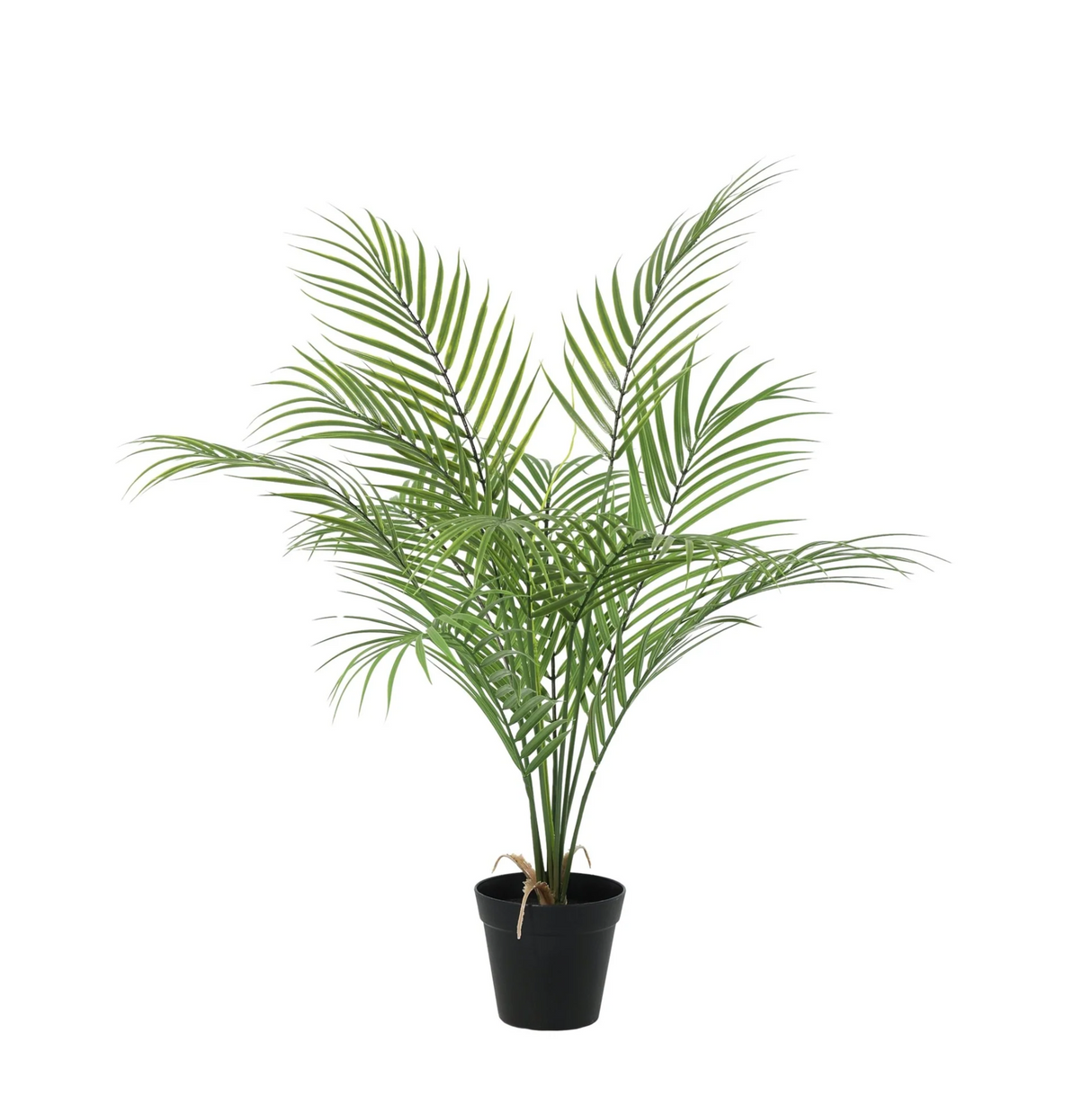 Kentia-Palme, künstlich, H65cm