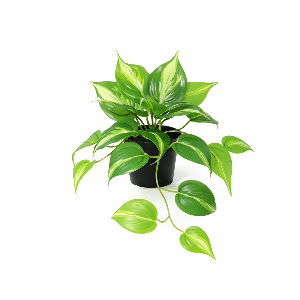 KÜNSTLICHER Epipremnum Variegata - 23cm