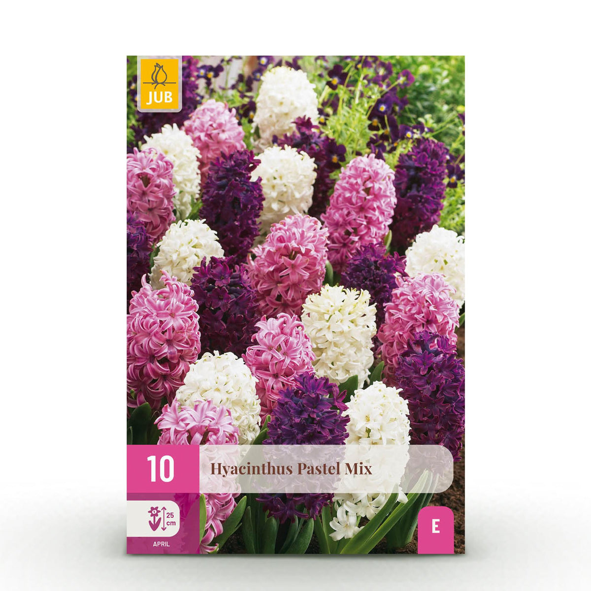 Green boutiQ - Blumenzwiebeln - Hyazinthe Pastellmix - Verschiedene Pastellfarben - 10 Stück - Zwiebelgröße 14/15 - XXL Pack