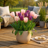 Green boutiQ - Blumenzwiebeln - Tulpenmischung Macron - Verschiedene Farben - 12 Stück - Zwiebelgröße 11/12 - XXL-Packung
