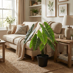Künstliche Alocasia Polly H40cm