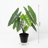 Künstliche Alocasia Polly H40cm