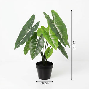 Künstliche Alocasia Polly H40cm