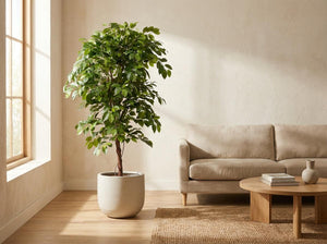 Künstlicher Ficus, Premium-Qualität, H 140 cm