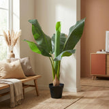 Künstlicher Bananenbaum Musa H80cm