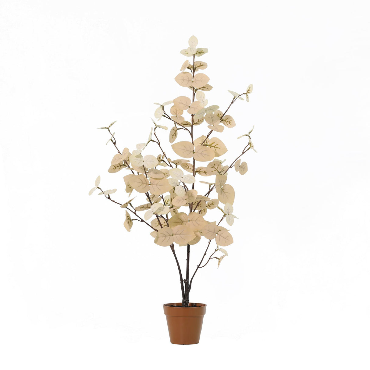 Künstlicher Eukalyptus weiß - 86cm