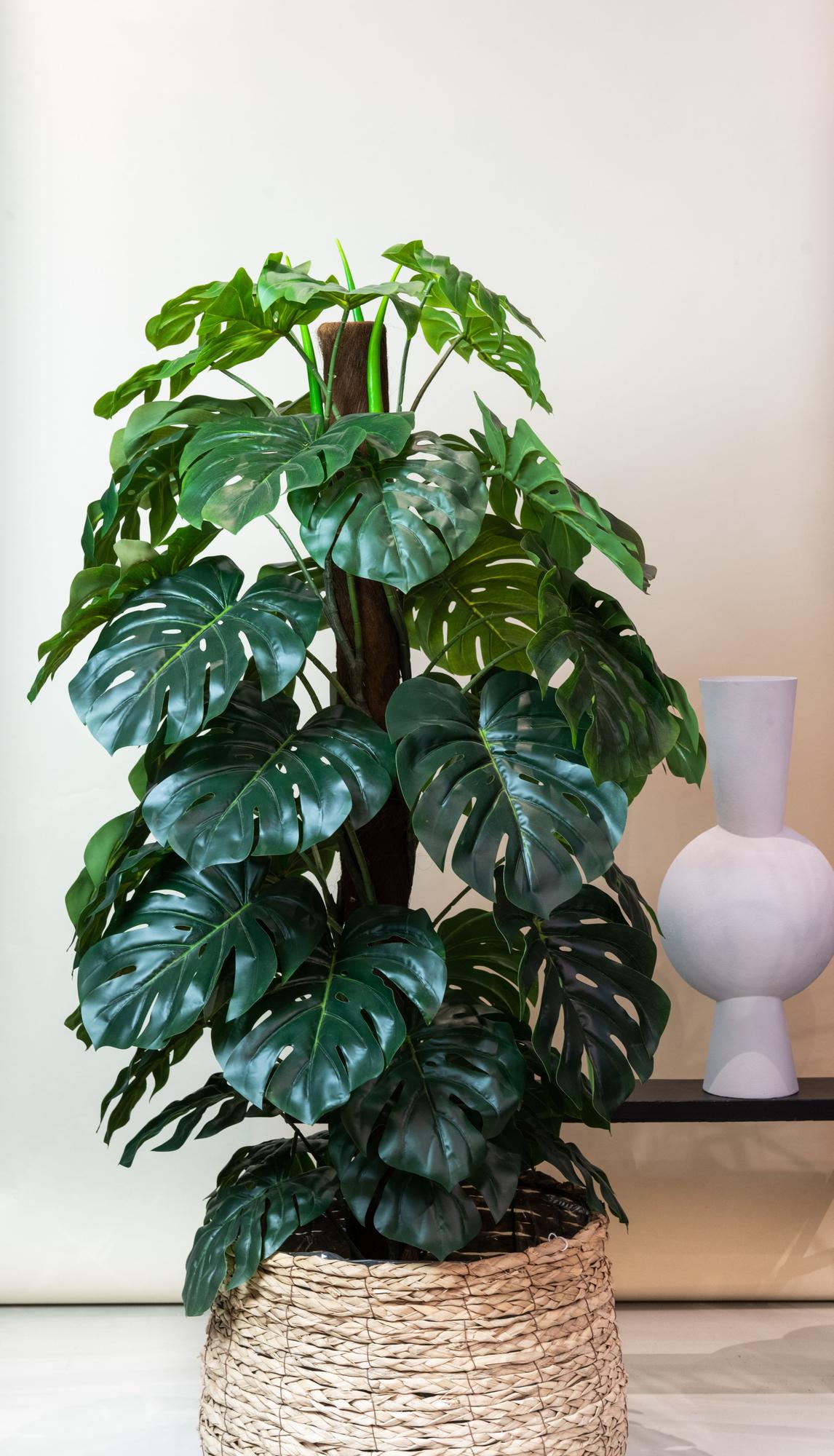 Künstliche Monstera deliciosa H180cm
