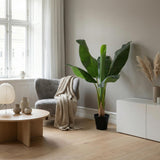 Künstlicher Bananenbaum Musa H80cm