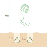 Green boutiQ - Blumenzwiebeln - Ranunculus Mix - Verschiedene Farben - 40 Stück - Zwiebelgröße 5/6 - XXL Pack