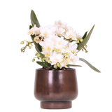 Kolibri Orchids | Scandic Blumentopf Ø9cm mit weißer Nazaré Orchidee – frisch vom Züchter