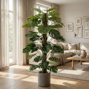 Künstliche Monstera, H 150 cm