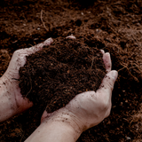 Universelle Blumenerde 30 Liter kaufen – Für Zimmer- und Freilandpflanzen