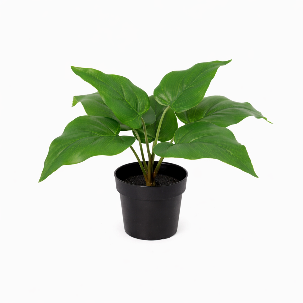 Künstlicher Philodendron Imperial Green – 25 cm