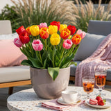 Green boutiQ - Blumenzwiebeln - Tulpe Darwin Hybrid Mischung - Verschiedene Farben - 40 Stück - Zwiebelgröße 10/12