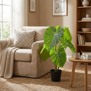 Künstlicher Philodendron H100cm