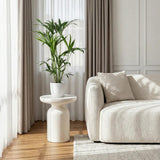 Green boutiQ - Zimmerpflanze - Howea Forsteriana - Kentia-Palme - Wenig Pflege - Grün - 1 Pflanze - mit Korb - Topf 19cm - Höhe 80-85cm