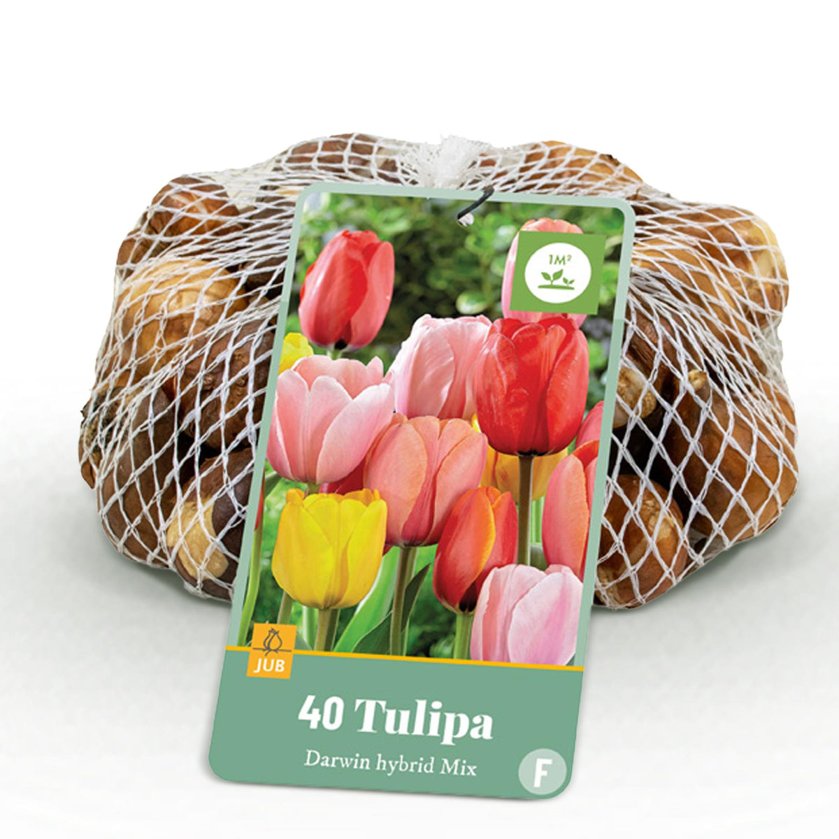 Green boutiQ - Blumenzwiebeln - Tulpe Darwin Hybrid Mischung - Verschiedene Farben - 40 Stück - Zwiebelgröße 10/12
