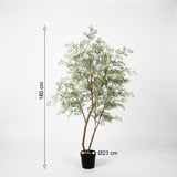 Künstlicher Strauch Cassia h180cm